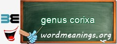 WordMeaning blackboard for genus corixa